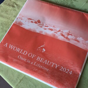 日本航空 a world of beauty 2024 JAL 2024 壁掛けカレンダー　ワールド オブ ビューティー (普通版) 壁掛け用 サイズ 横 42cm X 縦 79 cm 