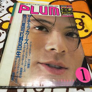 1985年PLUM （ロッキンf別冊）1985Vol.1