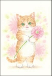 動物と花束ポストカード♪　茶トラとガーベラ　優しいイラスト　絵葉書　猫　トラねこ