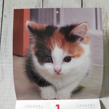 壁掛けカレンダー 2024　cat calendar　24×17cm　名入れ　猫ちゃん　子猫_画像2