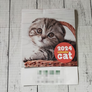 壁掛けカレンダー 2024　cat calendar　24×17cm　名入れ　猫ちゃん　子猫
