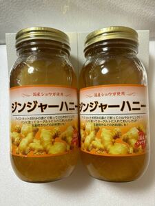ジンジャーハニー　２個　【送料無料】　はちみつ　蜂蜜　ハチミツ　はちみつしょうが　生姜　ショウガ