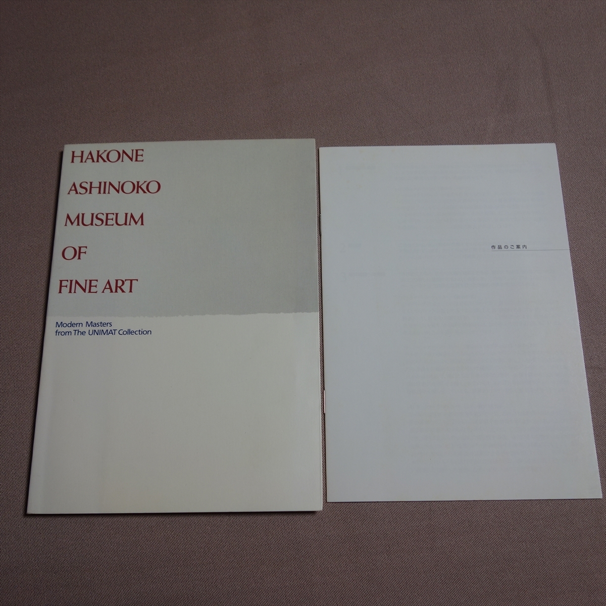 図録 HAKONE ASHINOKO MUSEUM of FINE ART 箱根芦ノ湖美術館, 絵画, 画集, 作品集, 図録