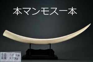 【善古堂】某名家委託品 特殊白材 巨大一本置物 130CM/9.83㎏ 令和五年登録書付き 本物保証 材質保証1125-23W