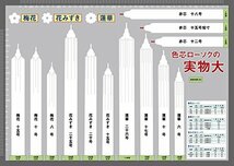 ニホンローソク 色芯ローソク 白芯蓮華10号 1000g_画像2