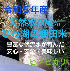 匿名配送 お試し４合／日本一びわ湖の棚田 令和5年 比良山系の豊富な伏流水 天然水100%が育む 安全・安心の美味しい米 送料無料 ヒノヒカリ