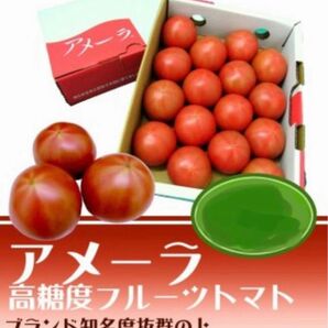 1ケース　アメーラトマト　自信あります！　高糖度　フルーツトマト　品質鮮度抜群！