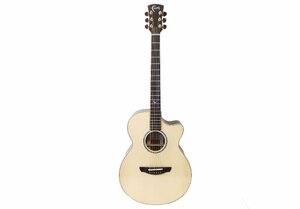 エレアコ 　アコースティックギター■訳あり未使用品■Faith Guitars■FVHG3■