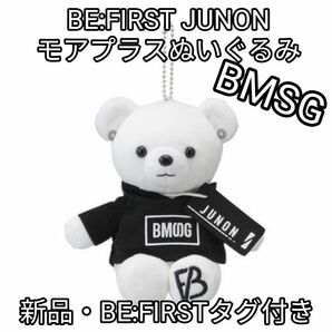 BE:FIRST　モアプラスぬいぐるみ　BMSG　JUNON ジュノン　テディベア　くま