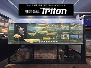 #5 [ use half year, finest quality used triton aquarium ] acrylic fiber aquarium W3000/D1200/H1000 20/15t clear 