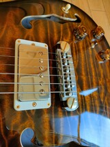 ポールリードスミス プライベートストック ハカランダ ホロウ with ピエゾ PRS Private Stock Hollowbody Brazilian with Piezo #4639_画像6