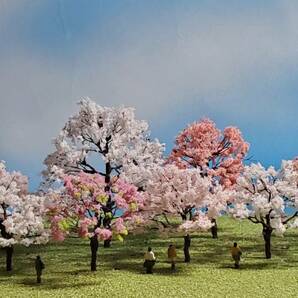 ★ジオラマ樹木★山桜セット 10本 入り Nゲージサイズ★ジオラマハウス製★の画像6