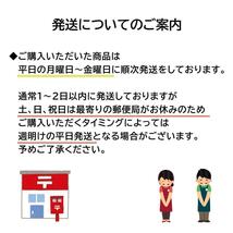 自転車 スーパーバルブ 10点 虫ゴム パンク予防 パンク修理 空気入れ 空気漏れ パンク防止 虫ゴム不要 ママチャリ バルブ スペシャルバルブ_画像9