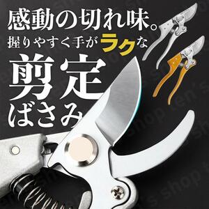 訳アリ 剪定バサミ 枝切ばさみ ハサミ 園芸 庭 ガーデニング 盆栽 お手入れ アウトレット