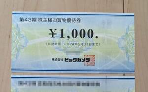 ビックカメラ株主優待券1000円 2024年5月末 