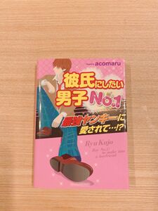 ケータイ小説 彼氏にしたい男子NO.1 最強ヤンキーに愛されて！？