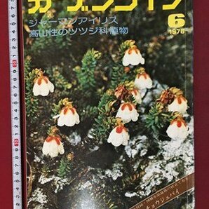 ｍ◆ 昭和51年 ガーデンライフ 1976.6月号 ジャーマンアイリス 高山性のツツジ科植物 /ｍｂ2の画像1