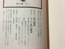 ｓ◆　平成5年 31版　横溝正史　夜の黒豹　角川文庫　書籍　当時物　文庫　小説　ミステリー　/LS1_画像3