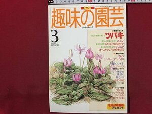 ｓ◆　1997年　NHK 趣味の園芸 3月号　ツバキ　スミレ 他　日本放送出版局　書籍のみ　書籍　雑誌　/M97上