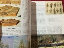 ｓ◆　1999年　鉄道模型 趣味　3月号　上越線の補機と本務機　機芸出版社　書籍のみ　当時物　 / M94_画像4