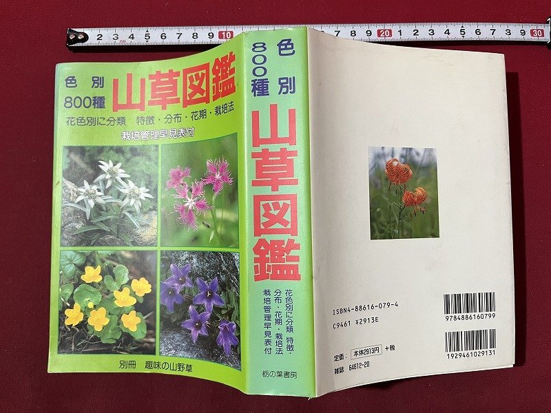 Yahoo!オークション -「山草」(本、雑誌) の落札相場・落札価格