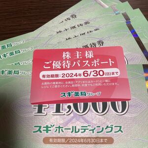 スギ　6000円 株主優待　パスポート　スギ薬局 ジャパン