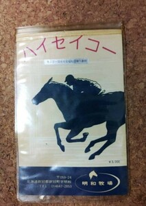 ハイセイコー　一本 たてがみ 非売品　チャリティー ウマ娘 風水 御守り 競馬 当選品　鬣　御利益　幸運　交通安全