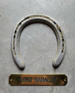  load kana lower actual use . iron load hose Club almond I fiscal year representative horse horse . one . horse . silk racing company pcs Starion 