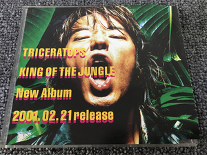 Ｄ17【非売品】稀少品 　TRICERATOPS 「KING OF THE JUNGLE 」