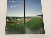 未使用 クオカード JRA 30周年 プレイバック三冠馬 4枚セット 1332円分 ナリタブライアン/ディープインパクト/ミスターシービー 他 競馬_画像5