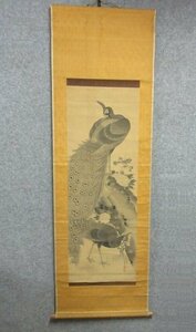 Art Auction ｢真筆｣ 掛軸 孔雀 [B22818] 長さ183cm 幅58cm 円嶺 絹本 動物 鳥獣 画 古玩 古美術 骨董, 絵画, 日本画, 花鳥, 鳥獣