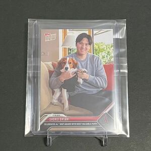 【美品！新品スリーブ&ローダー入り】大谷翔平選手 2023 Topps now(24時間限定販売カード) Shohei Ohtani OS-19