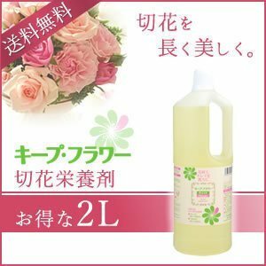 送料無料 キープ・フラワー 切花栄養剤 2L