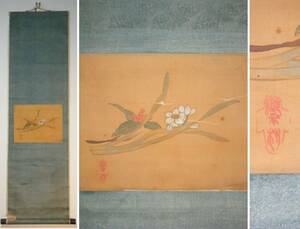 Art hand Auction Cuadro de flores en pergamino colgante obra maestra L54, cuadro, pintura japonesa, flores y pájaros, pájaros y bestias