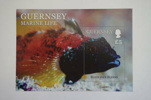 外国切手：ガーンジー切手切手 「海の生物」（トンポットブレニー）小型シート 未使用