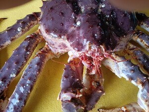 【年末・配送可能】年末です。お口いっぱい蟹食べてハッピーに！!【訳なし】稚内産超特大ボイルたらば蟹　炊き上り時約4.3kg です 　　　