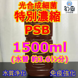 光合成細菌PSB1500ml 送料安 バクテリア めだか らんちゅう金魚 熱帯魚 グッピーにミジンコゾウリムシクロレラ培養