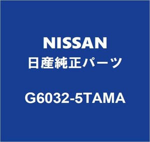 NISSAN日産純正 セレナ サイドボデーパネルRH G6032-5TAMA