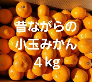 昔ながらの小玉みかん　４kg