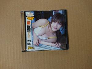 ◆◇原幹恵 ヤングチャンピオン烈 2008年 Vol.15 応募者全員サービス DVD◇◆