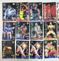 No.121 BBM'96 プロレスカード 冬木弘道 スタン・ハンセン 金子浩二 中西学 ジョニー・エース エル・サムライ グレート・ムタ 佐々木健介他_画像8