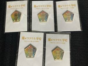 嵐 ワクワク学校 ２０１２　グッズ 校章　ピンバッチ　5個セット　ピンバッジ