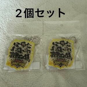 ビールかけ　アクリルキーホルダー　2個セット　限定品　新品　日本一記念　阪神タイガース　