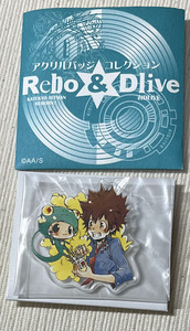 Rebo＆Dlive アクリルバッジコレクション 家庭教師ヒットマンREBORN! リボーン ＆ 沢田綱吉 アクリルバッジ