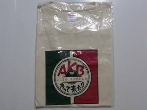 未開封・未使用★AKB48★AKBがやって来た!!★Tシャツ★サイズS★2010 SUMMER