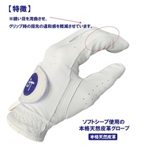 ☆送料無料ブルーティーゴルフ 【片手x1枚・女性用19cm】ソフトシープ使用の本格天然皮革グローブ GLSTL-001 BLUE TEE GOLF California_画像2