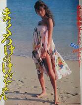 ★週刊明星　通巻1421号　1986年5月29日　ダイアナ妃/本田美奈子(水着)/菊池桃子/中山美穂 他_画像5