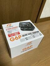 1円〜 G-FORCE ジーフォース G6P AC Charger ＆ Power Supply G0025 充電器　安定化電源_画像1