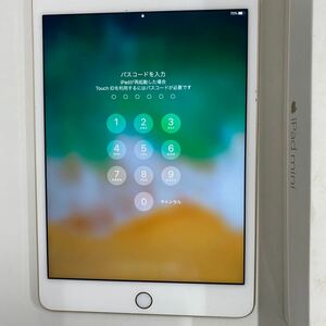 ジャンク　iPad mini4 パスコードがわかりません。部品取りを前提に落札お願いします。