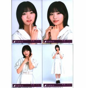 【12/14-19】乃木坂46 公式グッズ 生写真 4種コンプ　Monopoly 初回限定盤 中西アルノ　CD封入特典　ヨリチュウヒキ　ABCD